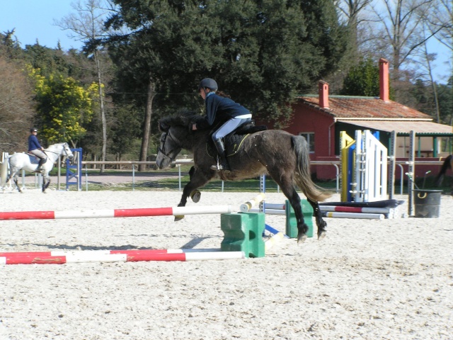 Camille et son nouveau poney !!! 2_chut10