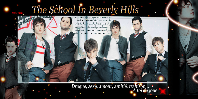 The School in Beverly Hills