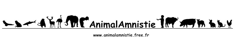 CONCOURS DE CREATION LOGO ASSOCIATION ANIMAL AMNISTIE - Page 2 0110