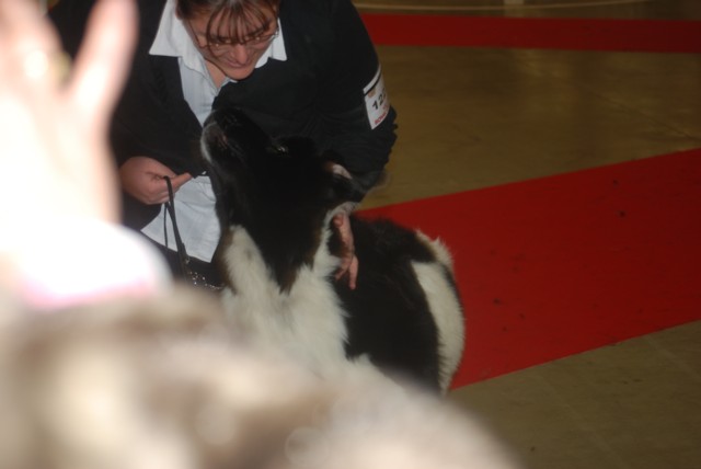 UNE SUPER RENCONTRE A PARIS DOG SHOW 2009.... Dsc_0312