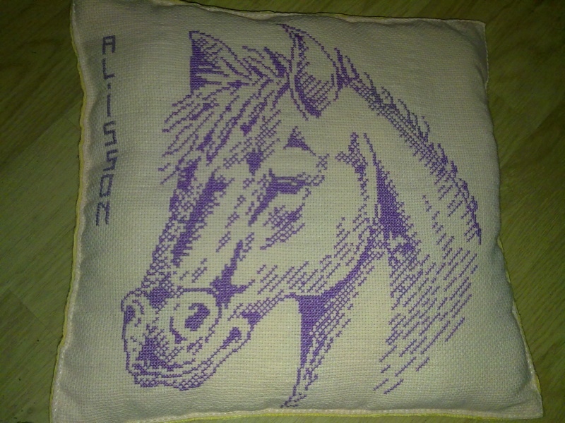 coussin cheval 11092010