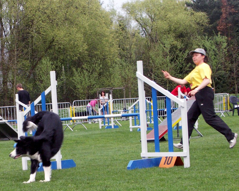 Quelques photos du concours de Bonheiden Pa135p12