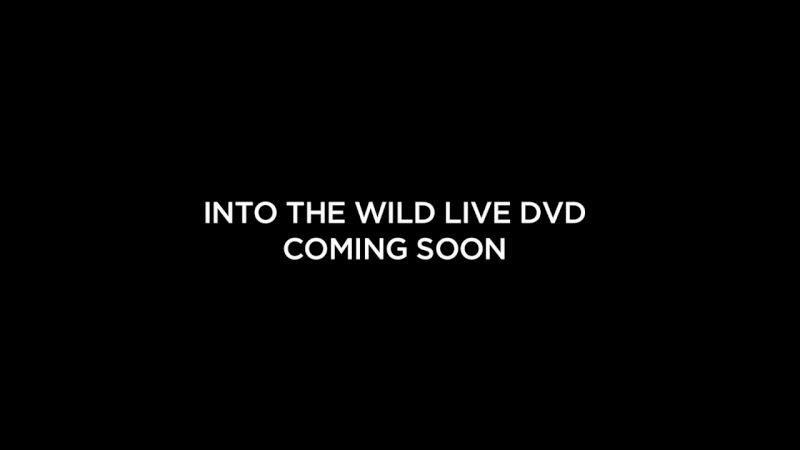 Into the wild DVD - Coming soon! Into_t10