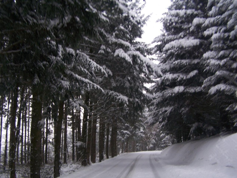 Sortie avec Mr Niva cette aprés midi en Auvergne Hiver_36