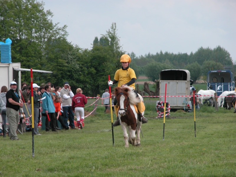 Concours Pony Games dimanche 26/04/09 à Biévène ! Dscn0110