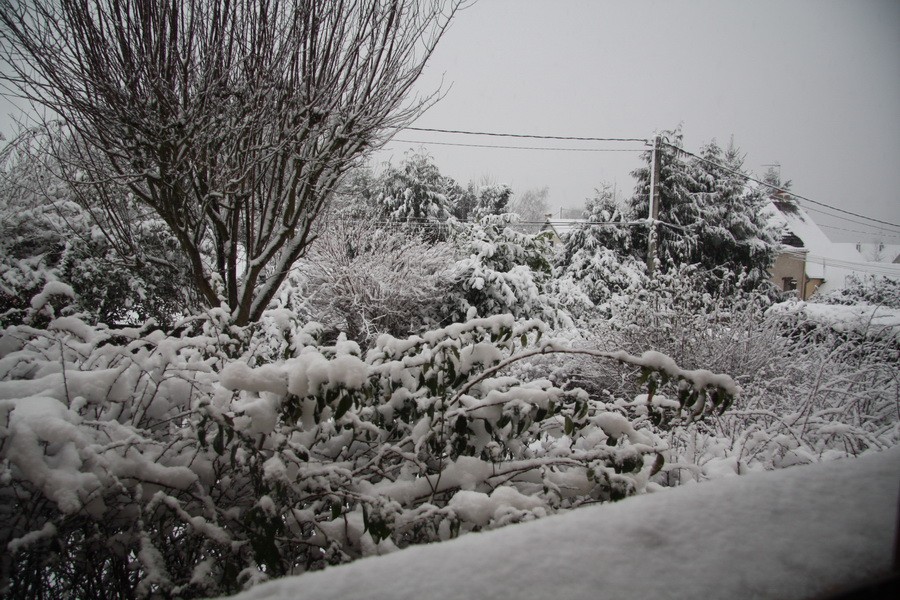 Naufragé de la route - Page 6 Dec20110