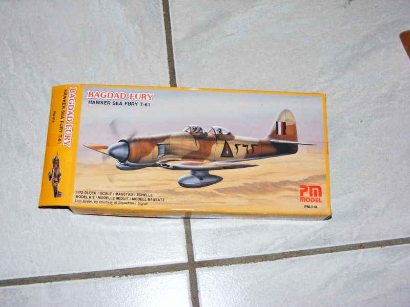 [PM Model] Hawker Baghdad Fury T-61 Dscf1266