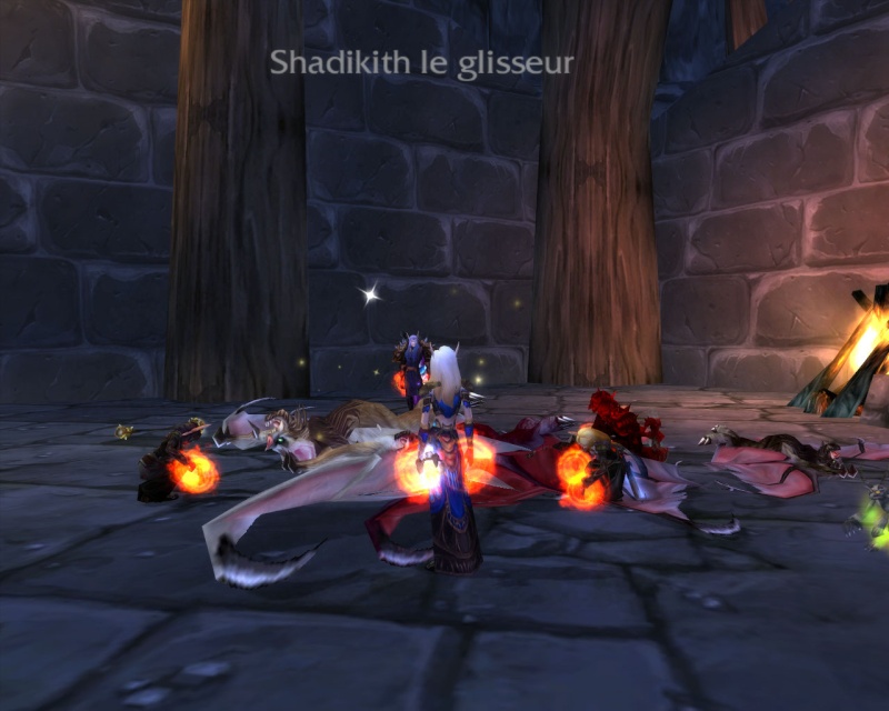 SKADIKITH le glisseur Wowscr26