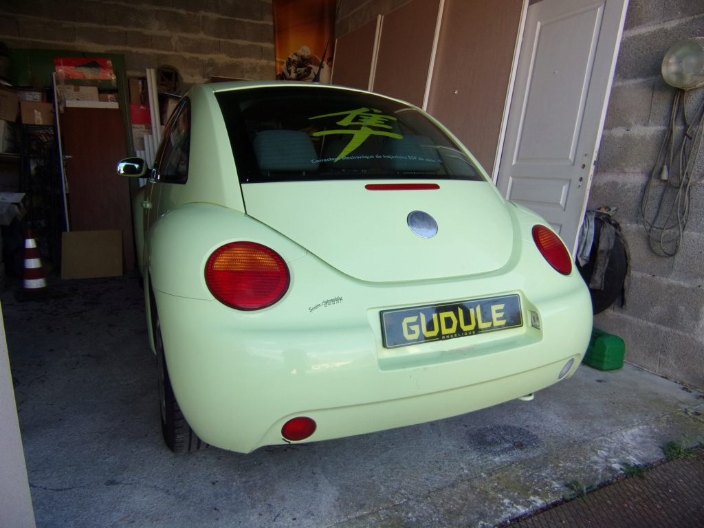 NEW GUDULE 100_1328