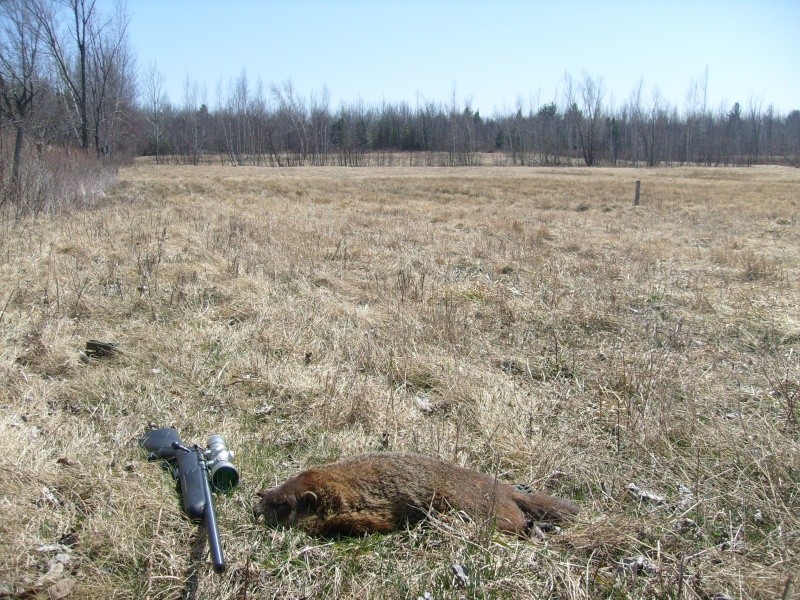 et de 3 Marmot12