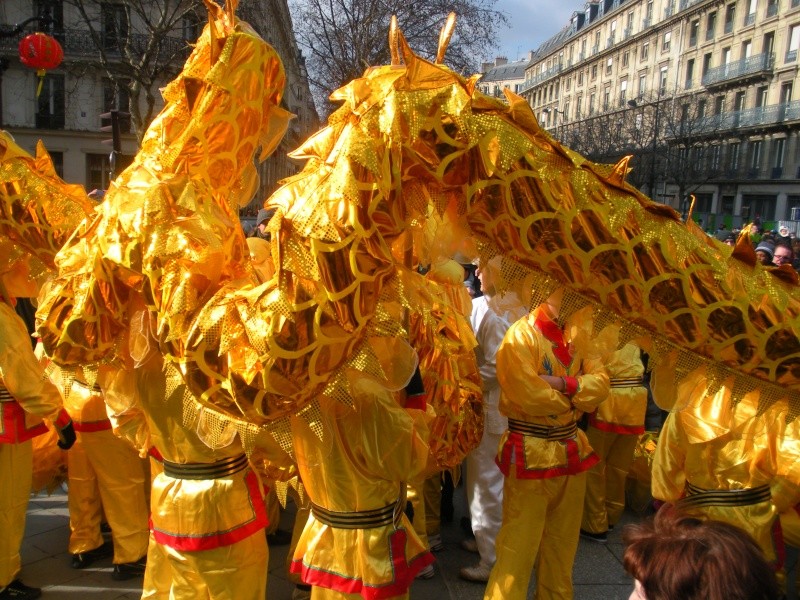 Année du TIGRE 2010 - Nouvel an 2010 Dscn4518