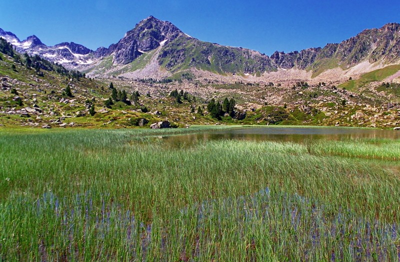 Lacs de montagne (argentique) Pblanc10
