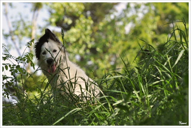 ptite balade du jour 256