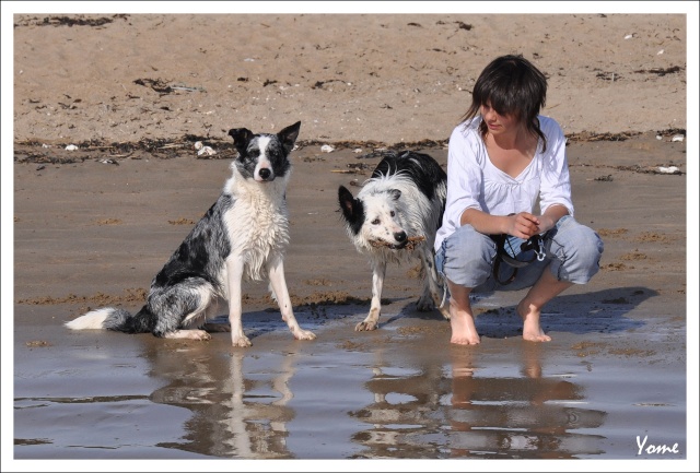 A la plage en fin de journée P510