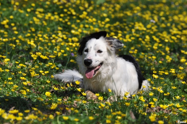 Concours photos - Nos Borders et le printemps - DERNIER DELA Printe12