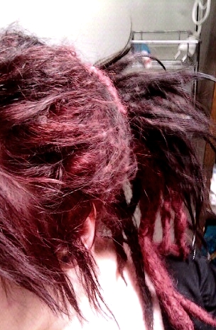 Dreads Naturelles > Pour le plaisir des yeux . - Page 8 Detail13