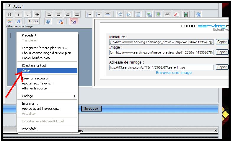 TUTO POUR INSERTION D UNE IMAGE  0041010