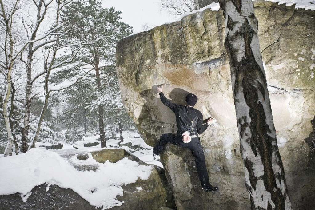 2009-->[Fontainebleau sous la neige] 512