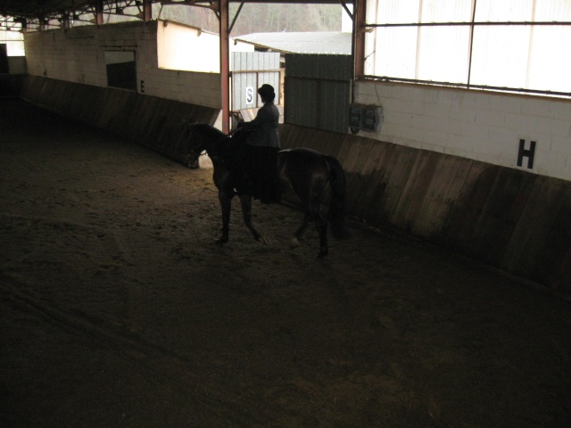 Concours d'entrainement de dressage de Chaumont Img_1412