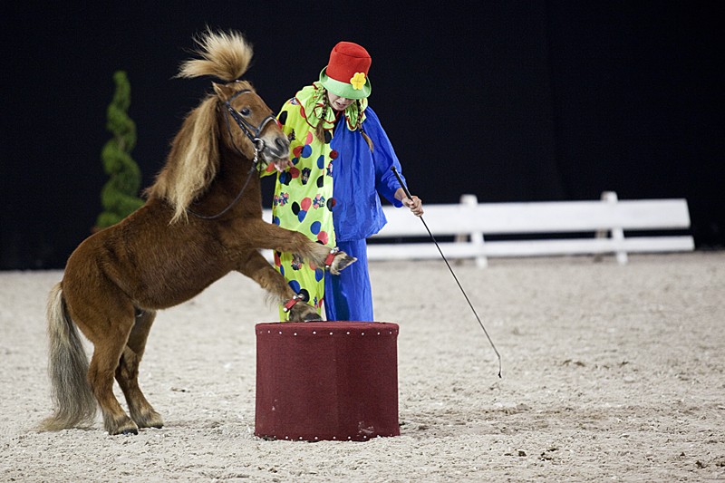 Wallonie Equestre Event (Ciney Expo) _mg_2113