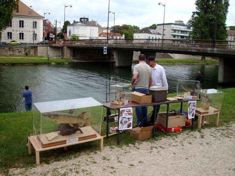 Le street fishing prend son essor en Seine-et-Marne ! Dsc00123