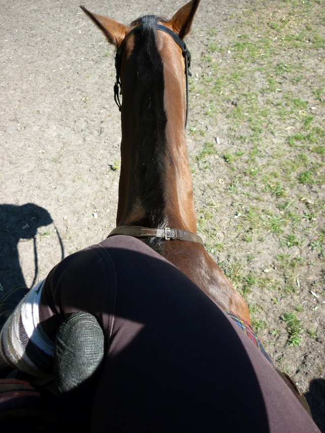 Galant, Back in Sidesaddle.... - Page 3 02011