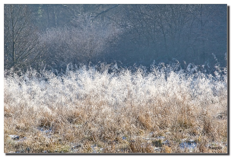 L'hiver par Franoise Img_0314