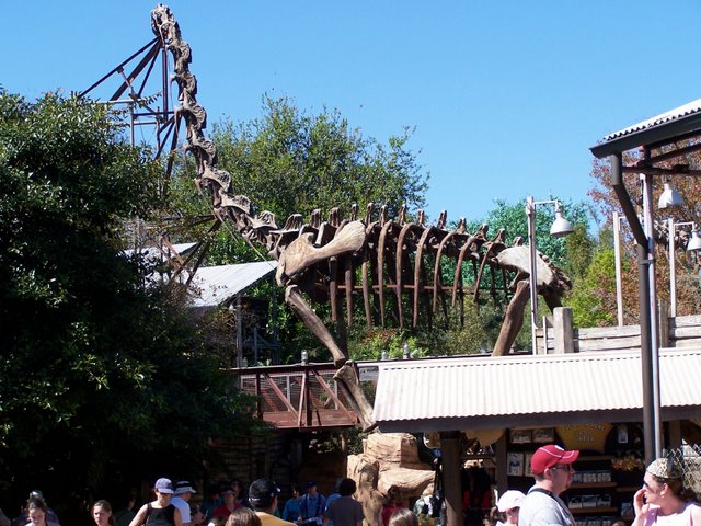 Disney's Animal Kingdom à Walt Disney World Resort 100_1534