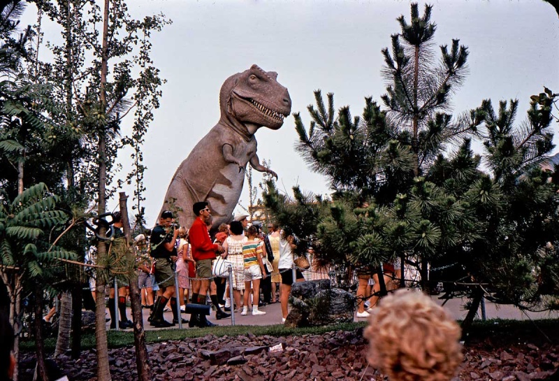 Disney's Animal Kingdom à Walt Disney World Resort 8-64tr10