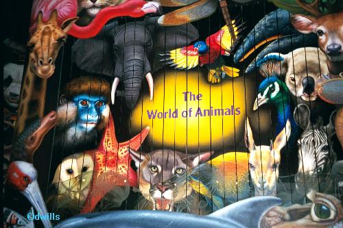 Disney's Animal Kingdom à Walt Disney World Resort Ak_con10