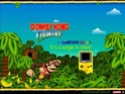 [OFF] Donkey Kong Country Donkey12