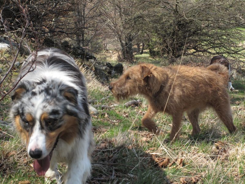 Bony et Dax, un quotidien bien ordinaire, .... 3318