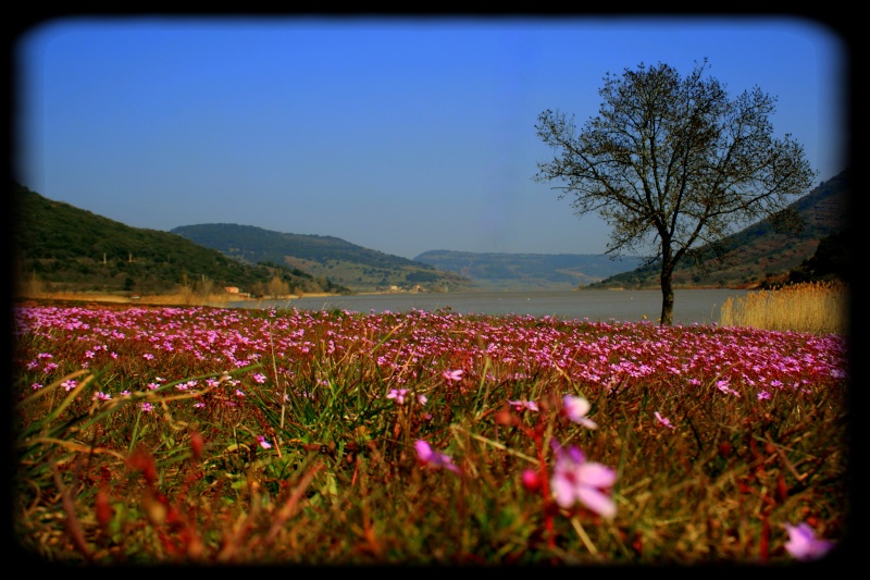 Toujours aussi bon ce lac! by Le Max Img_8227