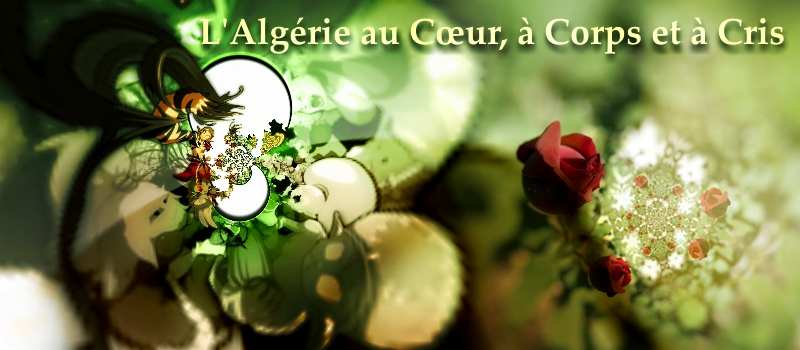 L'Algérie au coeur, à corps et à cris! - Want Too Free! Viva l'Algérie!