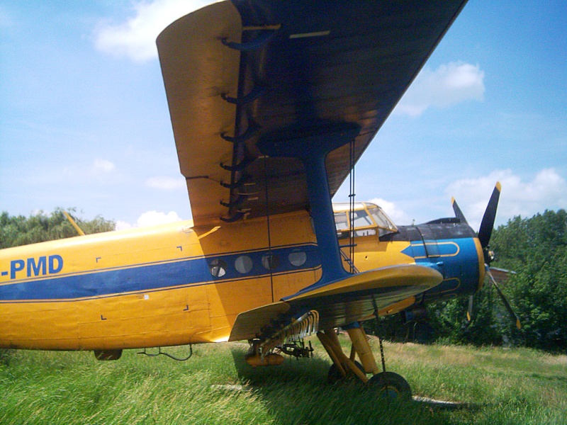 Antonov An-2 - Pagina 6 Dsci0318