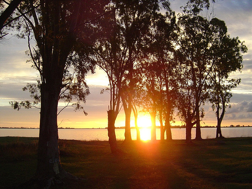 DOMINGO 26 DE ABRIL: VIAJE RUTERO A CHASCOMUS!!! 13518410