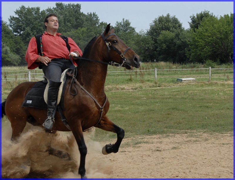 L'ABS sur un cheval ??? Freina11