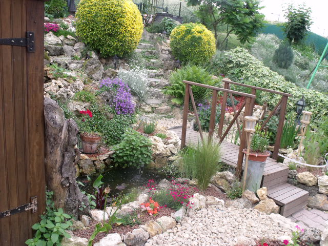 travaux de mon bassin et jardin rocailles Dscf0416