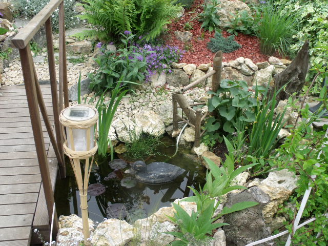 travaux de mon bassin et jardin rocailles Dscf0417