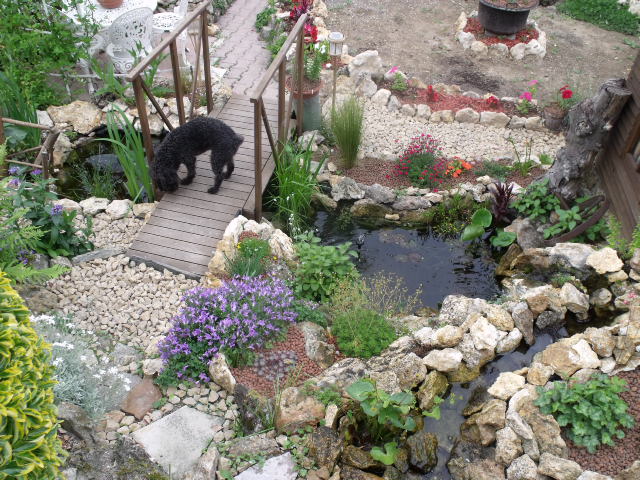 travaux de mon bassin et jardin rocailles Dscf0419