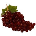  ........... Grapes10