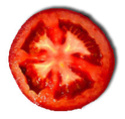  ........... Tomato10