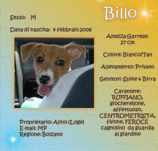 SCHEDE DEI NOSTRI JACK RUSSELL Billo10