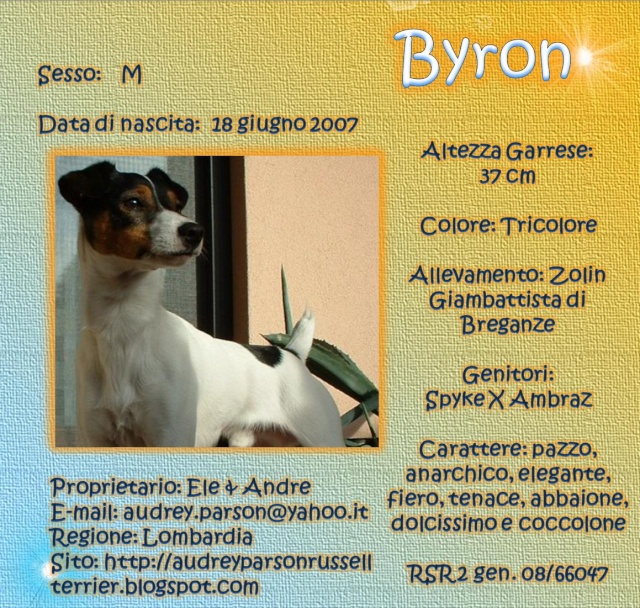 SCHEDE DEI NOSTRI PARSON RUSSELL Byron11