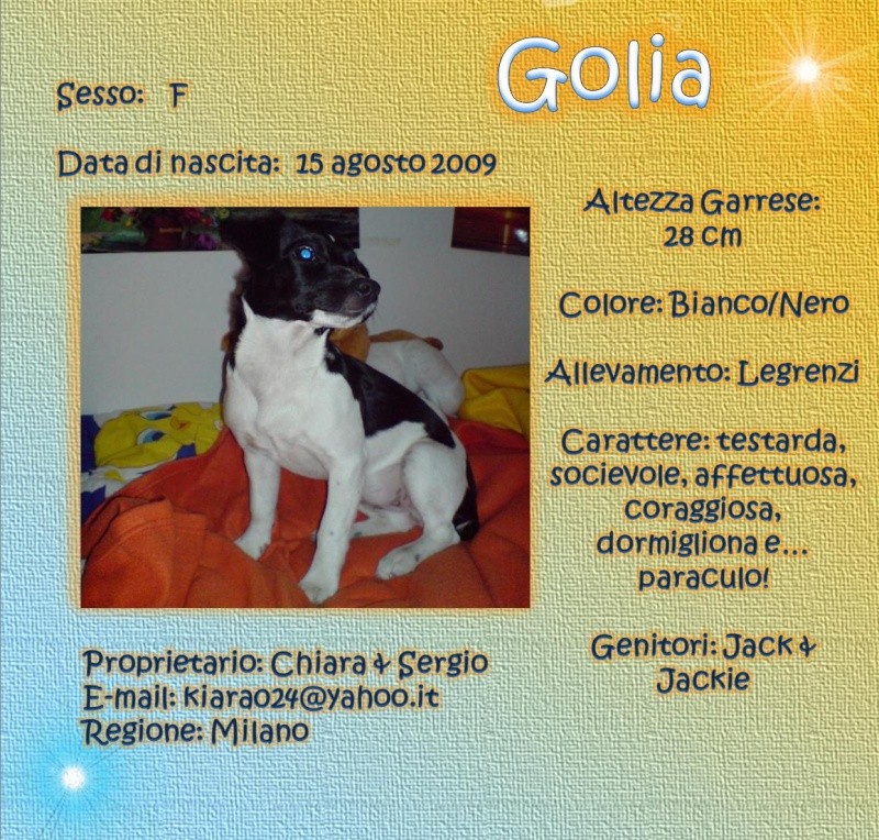 SCHEDE DEI NOSTRI JACK RUSSELL Golia10