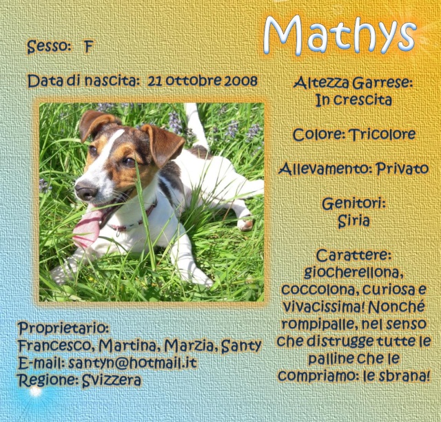 russell - SCHEDE DEI NOSTRI JACK RUSSELL 2 Mathys10