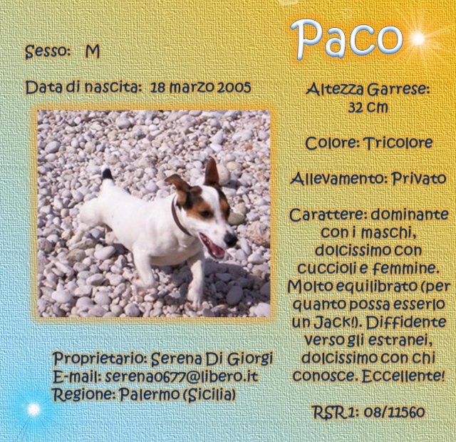 SCHEDE DEI NOSTRI JACK RUSSELL 3 Paco10