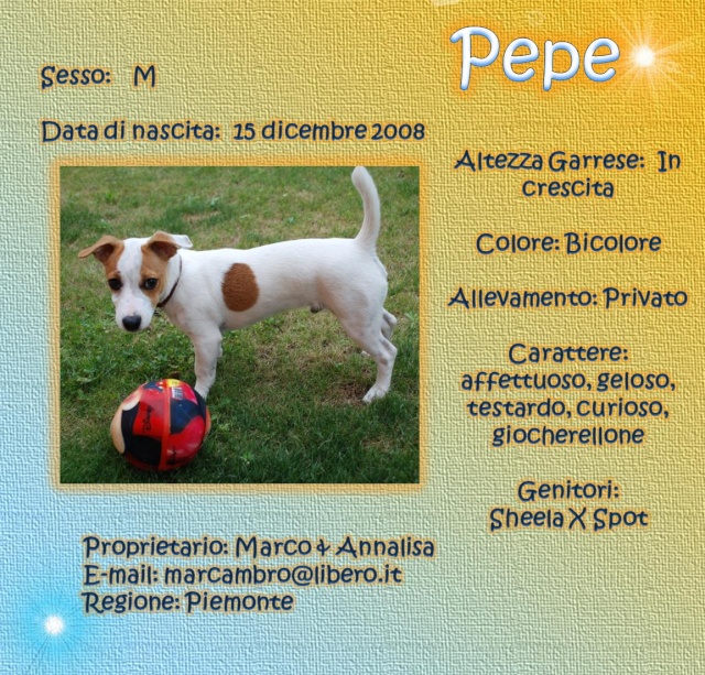 SCHEDE DEI NOSTRI JACK RUSSELL 3 Pepe210