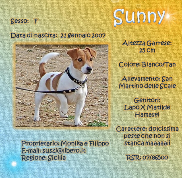 SCHEDE DEI NOSTRI JACK RUSSELL 3 Sunny10