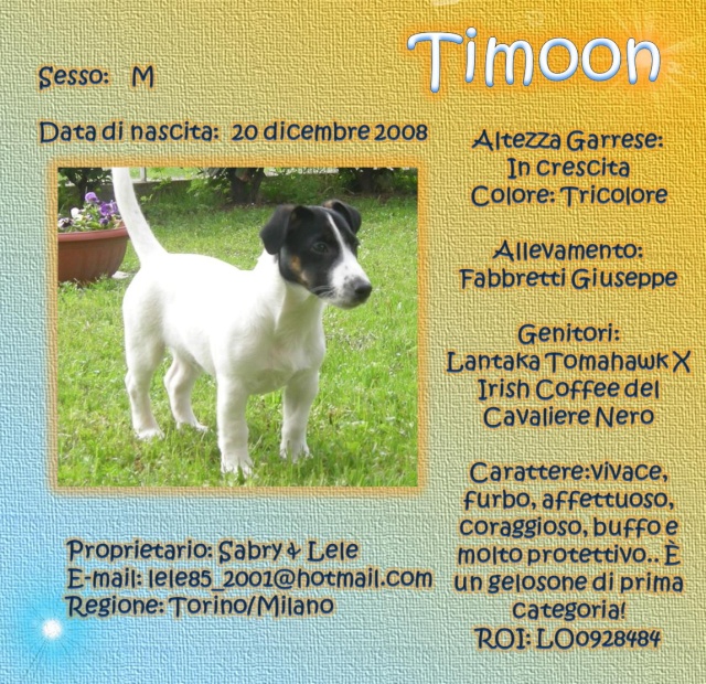 russell - SCHEDE DEI NOSTRI JACK RUSSELL 4 Timoon10